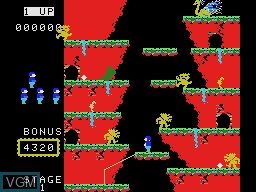 Image in-game du jeu Roc 'n Rope sur Coleco Industries Colecovision