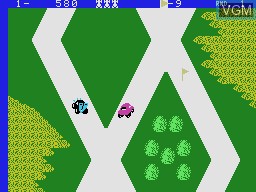 Image in-game du jeu Up 'n Down sur Coleco Industries Colecovision
