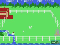 Image in-game du jeu Yolk's on You, The sur Coleco Industries Colecovision