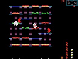 Image in-game du jeu BurgerTime sur Coleco Industries Colecovision