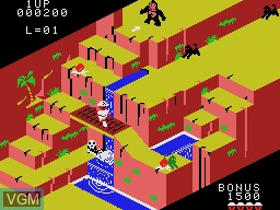 Image in-game du jeu Congo Bongo sur Coleco Industries Colecovision