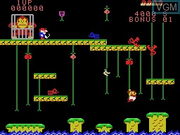 Image in-game du jeu Donkey Kong Junior sur Coleco Industries Colecovision