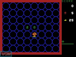Image in-game du jeu Amazing Bumpman sur Coleco Industries Colecovision