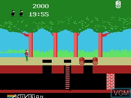 Image in-game du jeu Pitfall! sur Coleco Industries Colecovision