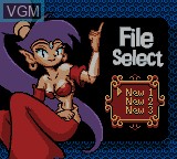 Image du menu du jeu Shantae sur Nintendo Game Boy Color