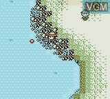Image in-game du jeu Legend of the River King 2 sur Nintendo Game Boy Color