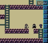 Image in-game du jeu Lode Runner - Domdom Dan no Yabou! sur Nintendo Game Boy Color