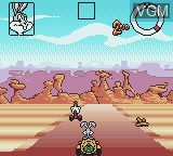 Image in-game du jeu Looney Tunes Racing sur Nintendo Game Boy Color