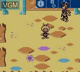 Image in-game du jeu Maya the Bee - Garden Adventures sur Nintendo Game Boy Color