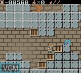 Image in-game du jeu Monster Rancher Explorer sur Nintendo Game Boy Color