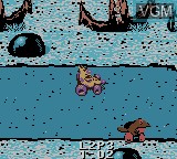 Image in-game du jeu NickToons Racing sur Nintendo Game Boy Color