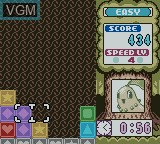 Image in-game du jeu Pokemon Puzzle Challenge sur Nintendo Game Boy Color