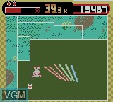 Image in-game du jeu Qix Adventure sur Nintendo Game Boy Color