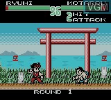 Image in-game du jeu SD Hiryu no Ken EX sur Nintendo Game Boy Color