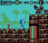 Image in-game du jeu Sonic 7 sur Nintendo Game Boy Color