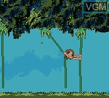 Image in-game du jeu Tarzan sur Nintendo Game Boy Color
