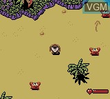 Image in-game du jeu Tasmanian Devil - Munching Madness sur Nintendo Game Boy Color