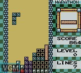 Image in-game du jeu Tetris DX sur Nintendo Game Boy Color