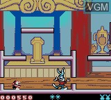 Image in-game du jeu Tiny Toon Adventures - Buster Saves the Day sur Nintendo Game Boy Color