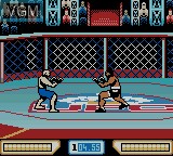 Image in-game du jeu Ultimate Fighting Championship sur Nintendo Game Boy Color