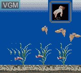 Image in-game du jeu AquaLife sur Nintendo Game Boy Color