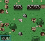 Image in-game du jeu Babe and Friends sur Nintendo Game Boy Color