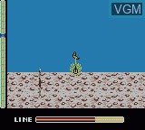 Image in-game du jeu Bass Masters Classic sur Nintendo Game Boy Color