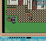 Image in-game du jeu Crystalis sur Nintendo Game Boy Color