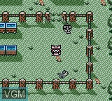 Image in-game du jeu Kawaii Pet Shop Monogatari sur Nintendo Game Boy Color