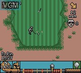 Image in-game du jeu CyberTiger sur Nintendo Game Boy Color