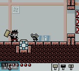 Image in-game du jeu Daiku no Gen-san - Kachikachi no Tonkachi ga Kachi sur Nintendo Game Boy Color