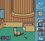 Image in-game du jeu Ferret Monogatari sur Nintendo Game Boy Color