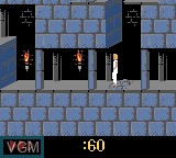Image in-game du jeu Prince of Persia sur Nintendo Game Boy Color
