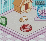 Image in-game du jeu Nakayoshi Pet Series 1 - Kawaii Hamster sur Nintendo Game Boy Color