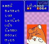 Image in-game du jeu Hamster Club sur Nintendo Game Boy Color