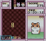 Image in-game du jeu Hamster Club - Awasete Chu sur Nintendo Game Boy Color