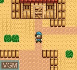 Image in-game du jeu Harvest Moon GB sur Nintendo Game Boy Color
