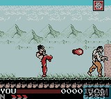 Image in-game du jeu Hiryu no Ken Retsuden GB sur Nintendo Game Boy Color