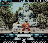 Image in-game du jeu International Karate 2000 sur Nintendo Game Boy Color