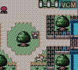 Image in-game du jeu Kawaii Pet Shop Monogatari 2 sur Nintendo Game Boy Color