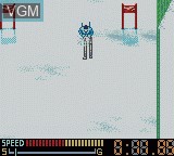 Image in-game du jeu Konami Winter Games sur Nintendo Game Boy Color
