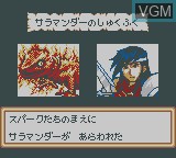 Image in-game du jeu Lodoss Tou Senki - Eiyuu Kishiden sur Nintendo Game Boy Color