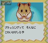 Image in-game du jeu Nakayoshi Pet Series 5 - Kawaii Hamster 2 sur Nintendo Game Boy Color