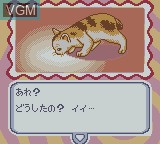 Image in-game du jeu Nakayoshi Pet Series 4 - Kawaii Koneko sur Nintendo Game Boy Color