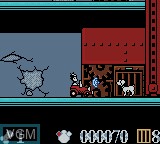 Image in-game du jeu 102 Dalmatians - Puppies to the Rescue sur Nintendo Game Boy Color