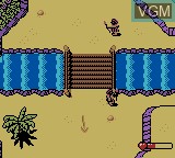 Image in-game du jeu Tasmanian Devil - Munching Madness sur Nintendo Game Boy Color