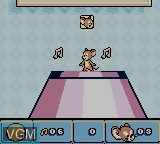 Image in-game du jeu Tom and Jerry in Mouse Attacks sur Nintendo Game Boy Color