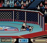Image in-game du jeu Ultimate Fighting Championship sur Nintendo Game Boy Color