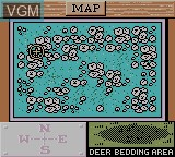 Image in-game du jeu Deer Hunter sur Nintendo Game Boy Color