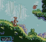 Image in-game du jeu Pooh and Tigger's Hunny Safari sur Nintendo Game Boy Color